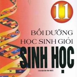 Sách Tham Khảo Lớp 11