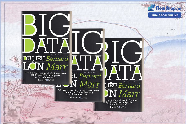 big data dữ liệu lớn