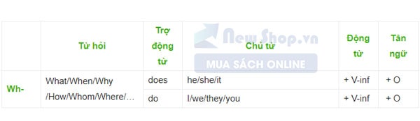 câu hỏi wh-question dùng hỏi thông tin