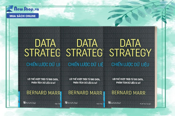 chiến lược dữ liệu