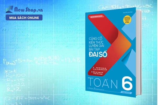 củng cố kiến thức luyện giải bài đại số toán lớp 6
