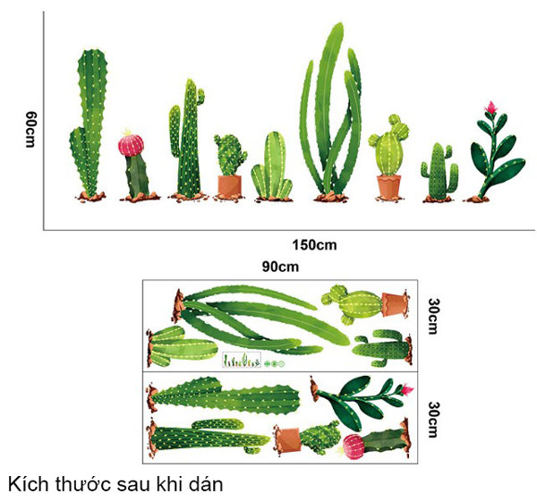 Decal Trang Trí Cây Xương Rồng Nhánh Dài