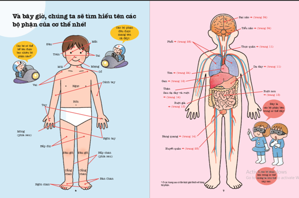 khám phá bí ẩn cơ thể người