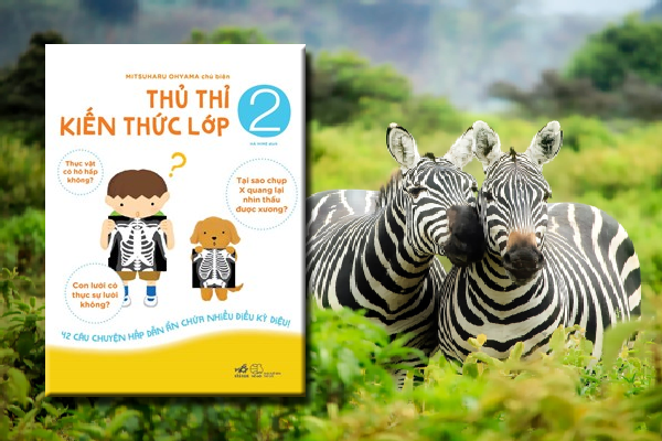 Thủ Thỉ Kiến Thức Lớp 2