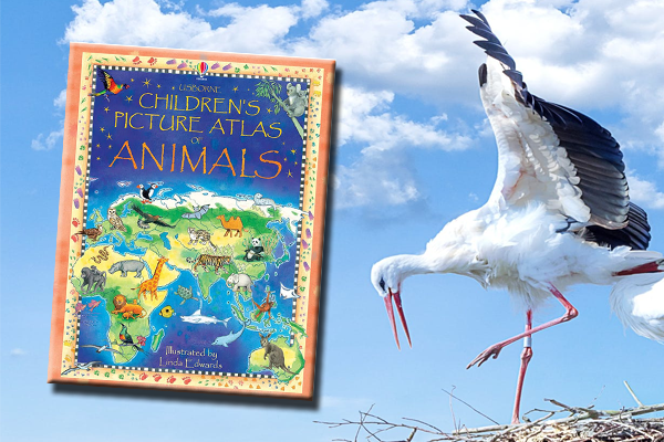 Children's Picture Atlas of Animals - Atlas động vật bằng tranh cho trẻ em