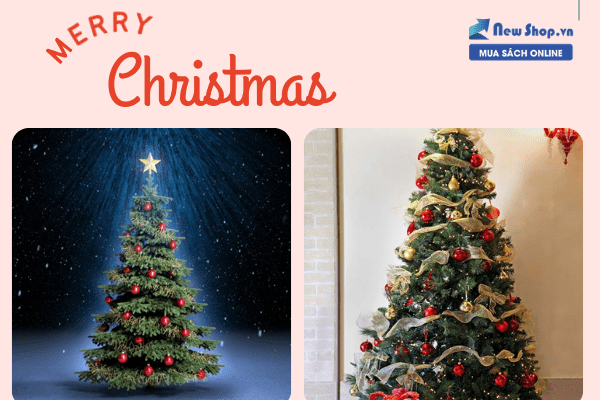 cây thông noel xưa và nay