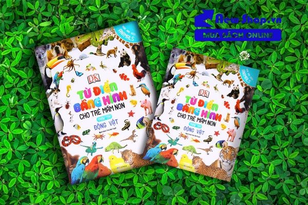 Từ điển bằng hình cho trẻ mầm non - Trốn tìm động vật