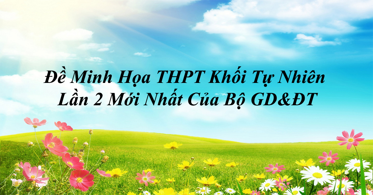 Đề Minh Họa 2020 THPT Khối Tự Nhi&ecirc;n Lần 2 Mới Nhất Của Bộ GD&ĐT