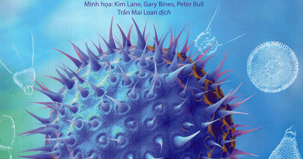 Complete Book of the Microscope - Thế Giới Qua Lăng Kính Hiển Vi (Usborne)