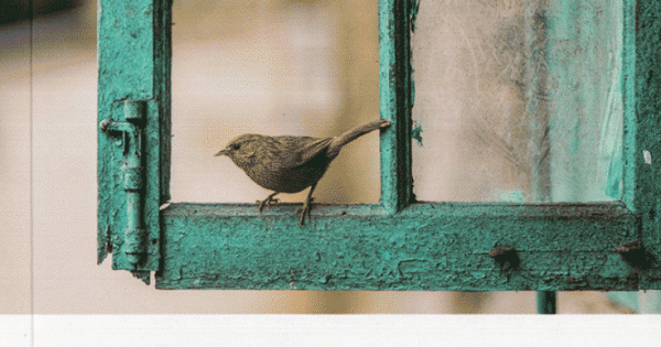 Như Mây Thong Dong