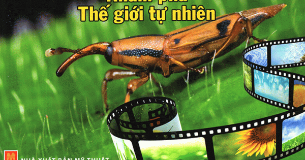 Thư Viện Tri Thức Dành Cho Học Sinh - Khám Phá Thế Giới Tự Nhiên