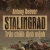 Stalingrad - Trận Chiến Định Mệnh