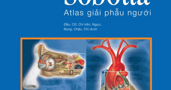 Sobotta Atlas Giải Phẫu Người (Phiên Bản Thứ 14)