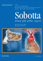 Sobotta Atlas Giải Phẫu Người (Phiên Bản Thứ 14)
