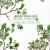 Những Tháng Năm Hổ Phách - Tập 2
