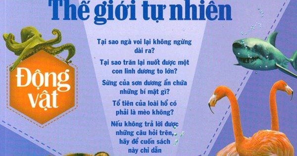 Khám Phá Bí Ẩn Thế Giới Tự Nhiên Dành Cho Học Sinh : Động Vật