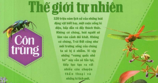 Khám Phá Bí Ẩn Thế Giới Tự Nhiên Dành Cho Học Sinh : Côn Trùng