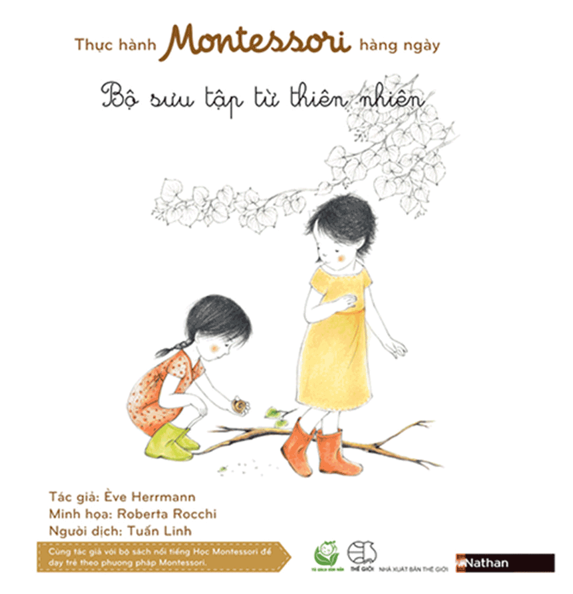 Thực Hành Montessori Hàng Ngày - Bộ Sưu Tập Từ Thiên Nhiên