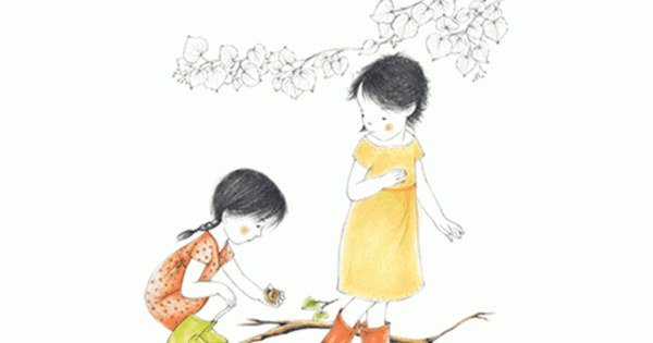 Thực Hành Montessori Hàng Ngày - Bộ Sưu Tập Từ Thiên Nhiên