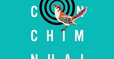 Giết Con Chim Nhại