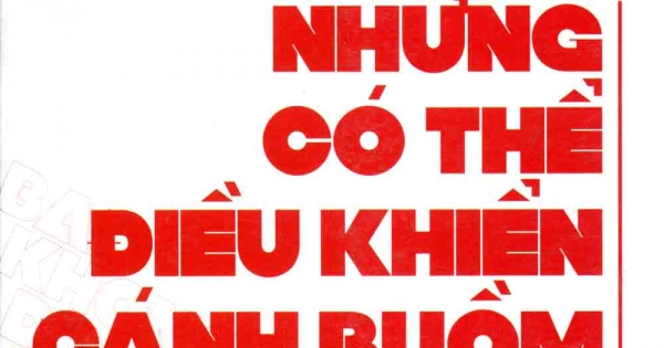 Bạn Không Thể Đổi Hướng Gió, Nhưng Có Thể Điều Khiển Cánh Buồm