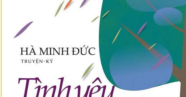 Tình Yêu Đầu Ngọn Gió