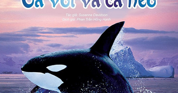 Bách Khoa Tri Thức Về Khám Phá Thế Giới Cho Trẻ Em - Cá Voi Và Cá Heo (Tái Bản 2018)