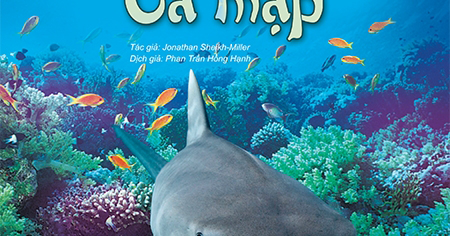 Bách Khoa Tri Thức Về Khám Phá Thế Giới Cho Trẻ Em - Cá Mập (Tái Bản 2018)
