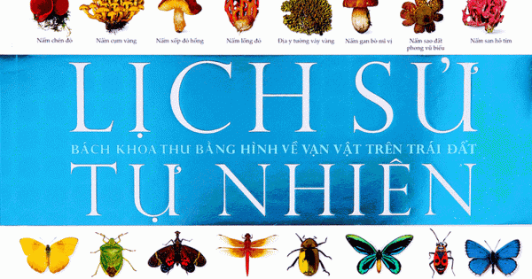 Lịch Sử Tự Nhiên