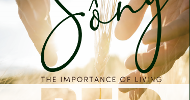 Sống Đẹp: Nghệ Thuật Sống Trọn Vẹn - Nguyễn Hiến Lê