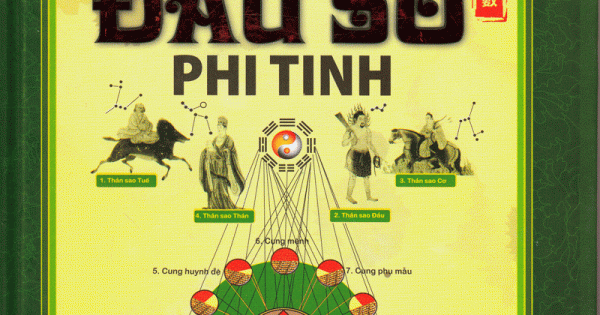 Tử Vi Đẩu Số Phi Tinh