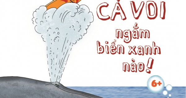 Hãy Cùng Cá Voi Ngắm Biển Xanh Nào! 6+ | Newshop.vn