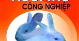 Kỹ Thuật Nuôi Thỏ Công Nghiệp