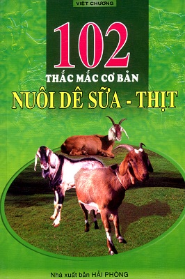 102 Thắc Mắc Cơ Bản Nuôi Dê Sữa - Thịt