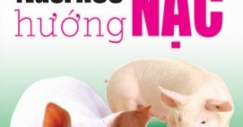 Nuôi Heo Hướng Nạc
