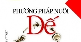 Phương Pháp Nuôi Dế