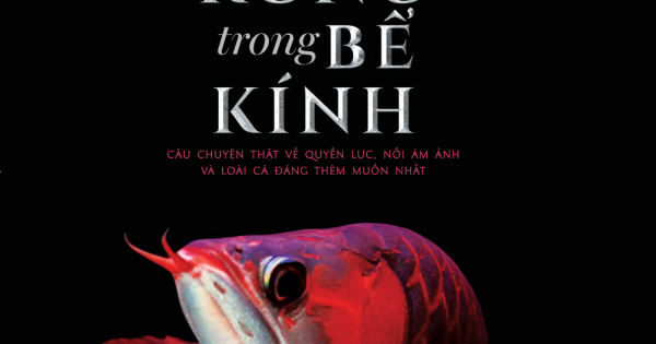 Con Rồng Trong Bể Kính - Câu Chuyện Thật Về Quyền Lực, Nỗi Ám Ảnh Và Loài Cá Đáng Thèm Muốn Nhất