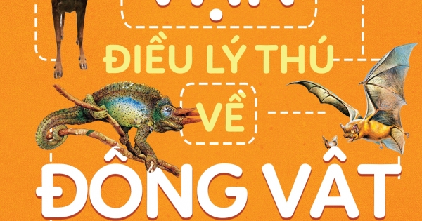 10 Vạn Điều Lý Thú Về Động Vật - Những Loài Độc Đáo