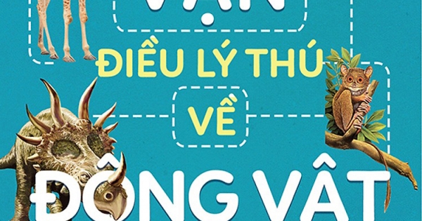 10 Vạn Điều Lý Thú Về Động Vật - Những Loài Ngộ Nghĩnh