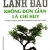 Lãnh Đạo Không Đơn Giản Là Chỉ Huy