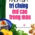 Món Ăn Trị Chứng Mỡ Cao Trong Máu