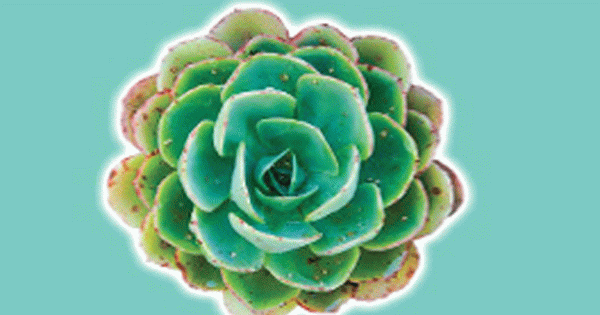 Chịu Đựng Điều Không Thể Chịu Đựng