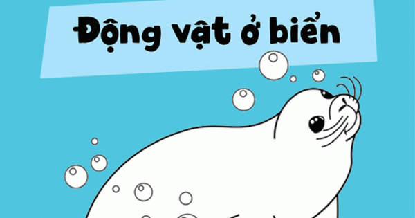 Vừa Tô Màu Vừa Học - Động Vật Ở Biển