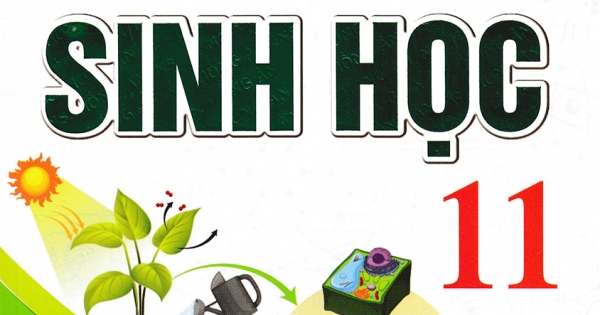 Bồi Dưỡng Học Sinh Giỏi Sinh Học 11 - Phan Khắc Nghệ (Dùng Chung Cho Các Bộ SGK Hiện Hành)