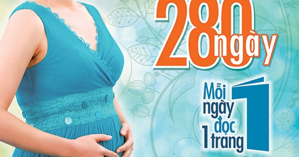 Hành Trình Thai Giáo 280 Ngày