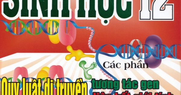 Phương Pháp Giải Sinh Học 12 Quy Luật Di Truyền-Tương Tác Gen-Liên Kết Giới Tính-Di Truyên Học Quần Thể-Người