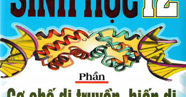Phương Pháp Giải Sinh Học 12 Phần Cơ Chế Di Truyền, Biến Dị, Cấp Độ Tế Bào, Phân Tử
