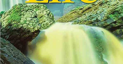 Life A1: Student's with Book Online Workbook