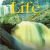 Life A1: Student's with Book Online Workbook
