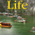 Life A2 - B1: Student's Book with Online Workbook